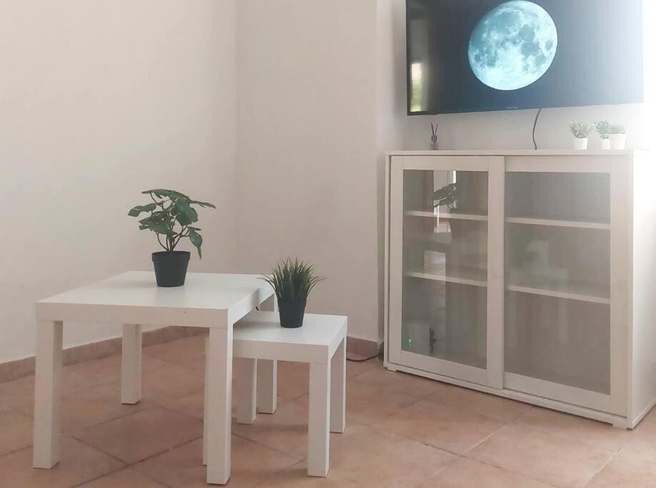 Foce24 - City Garden - Imperia Exterior photo